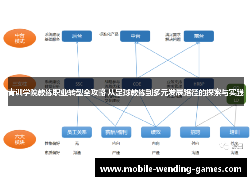 青训学院教练职业转型全攻略 从足球教练到多元发展路径的探索与实践 青训学院教练职业转型全攻略 从足球教练到多元发展路径的探索与实践