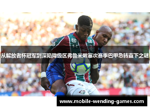 从解放者杯冠军到深陷降级区弗鲁米嫩塞次赛季巴甲急转直下之谜